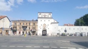 Вильнюс